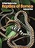A Field Guide to the Reptil...