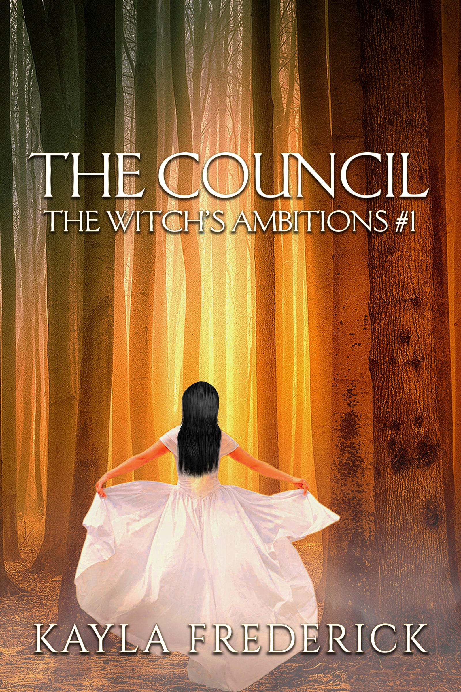 The Council (The Witch's Ambitions Trilogy Book 1)