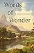 Words of Wonder: Best Selections from Devoe Dictionaries