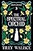 The Spectral Orchid (Leaf a...