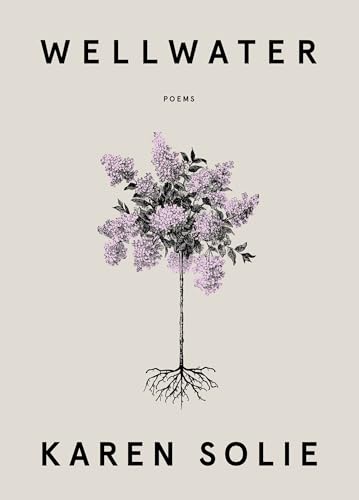 Wellwater: Poems (Paperback)