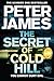 The Secret of Cold Hill