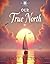 Our True North by Stacey Robinson