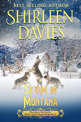Storm in Montana (Montana Becketts, Wild Spirit Ranch, #3)