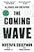 The Coming Wave: AI, Power, and Our Future