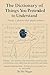 The Dictionary of Things You Pretended to Understand by Nir Nagar The Dictionary of Things You Pretended to Understand by Nir Nagar