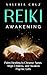Reiki Awakening: Harness Pa...