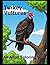 Turkey Vultures: An Adult C...