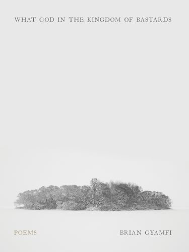What God in the Kingdom of Bastards: Poems (Pitt Poetry Series)