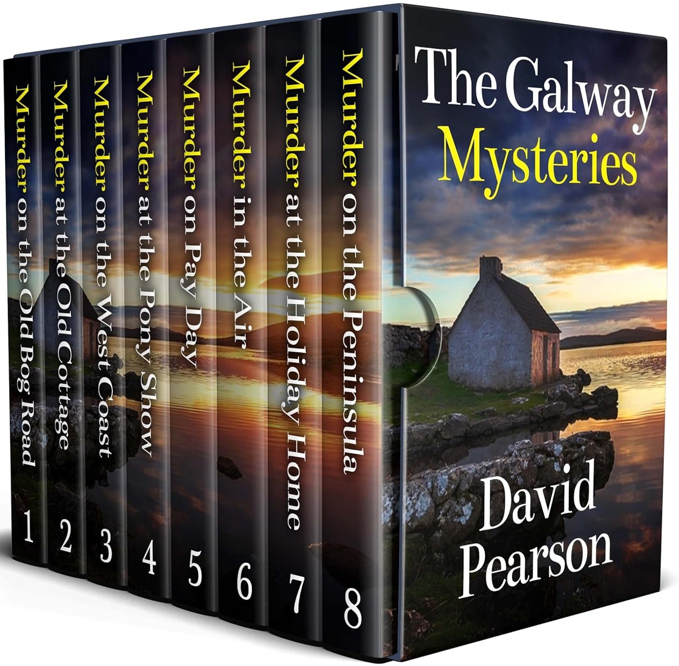 The Galway Mysteries Books 1–8 (Galway Homicide: Hays & Lyons #1-8)