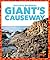Giant's Causeway by Katie Chanez