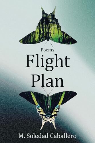 Flight Plan: Poems (Paperback)