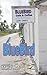 BlueBird: A Love Story of S...