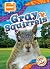 Gray Squirrels