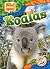 Koalas