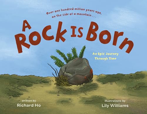 A Rock Is Born: An Epic Journey Through Time (Hardcover)