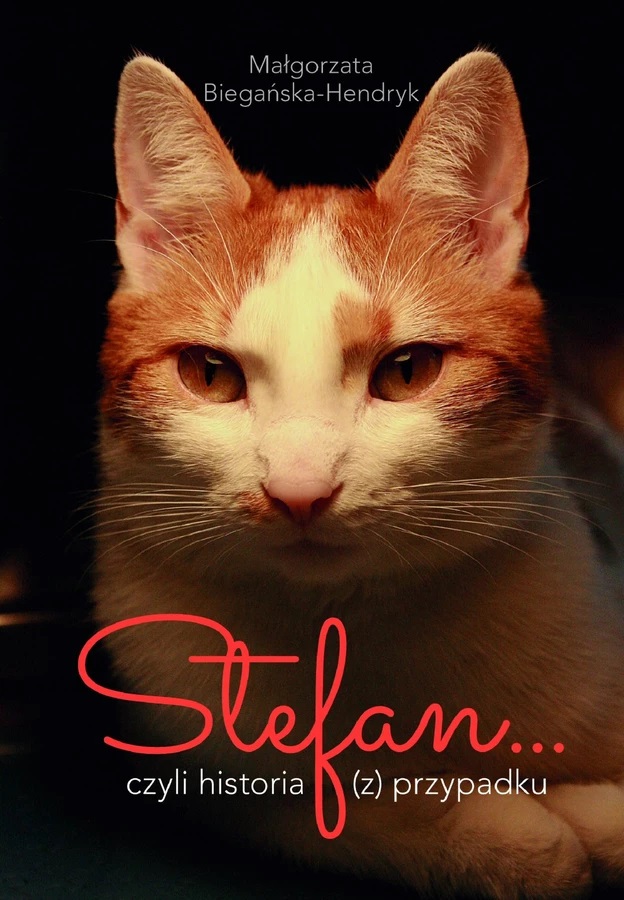 Stefan, czyli historia (z) przypadku