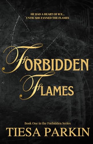Forbidden Flames: A brother's best friend billionaire romance (The Forbidden Love Series)