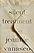 A Silent Treatment by Jeannie Vanasco