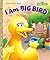 I Am Big Bird (Sesame Street) (Little Golden Book)