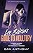 Lee Bolton's Guide To Adultery: A Tongue-in-Cheek User Manual for the Morally Misguided (The Adulterer)