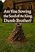 Are you Sowing the Seed of the King, Dumb Brother? by Sterling McDonald