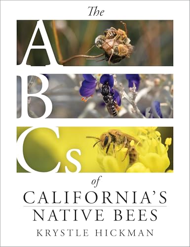 The ABCs of California's Native Bees (Hardcover)