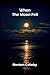 When The Moon Fell