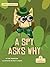 A Spy Asks Why (My Fiction Decodable Readers)