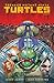 Teenage Mutant Ninja Turtles: NYC vs. TMNT