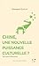 Chine, une nouvelle puissance culturelle ? by Lincot Emmanuel