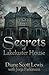 Secrets of Lakeluster House