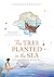 The Tree Planted in the Sea: A Journey with the Apostle Paul