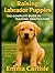 Raising Labrador Puppies: T...