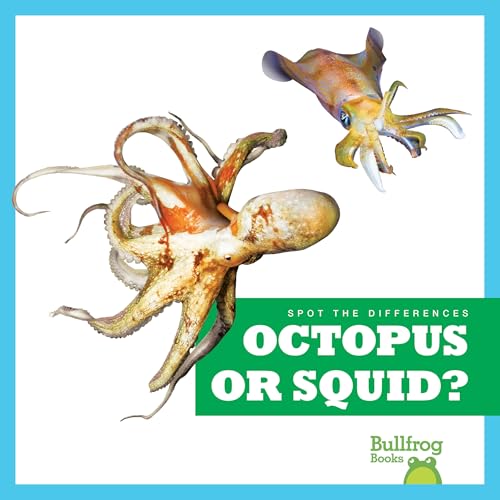 Octopus or Squid? (Spot the Differences)