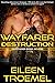 Wayfarer Destruction (Wayfarer,#7)
