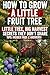 How to Grow a Little Fruit Tree by Daniel D Whitmore