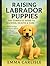 Raising Labrador Puppies: T...