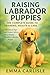 Raising Labrador Puppies: T...