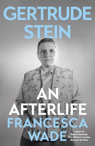Gertrude Stein: An Afterlife (Hardcover)