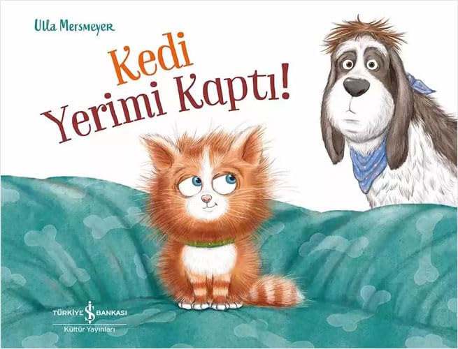 Kedi Yerimi Kaptı! (Paperback)