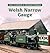 Welsh Narrow Gauge by Paul Plowman