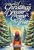 A Christmas Dream Come True...