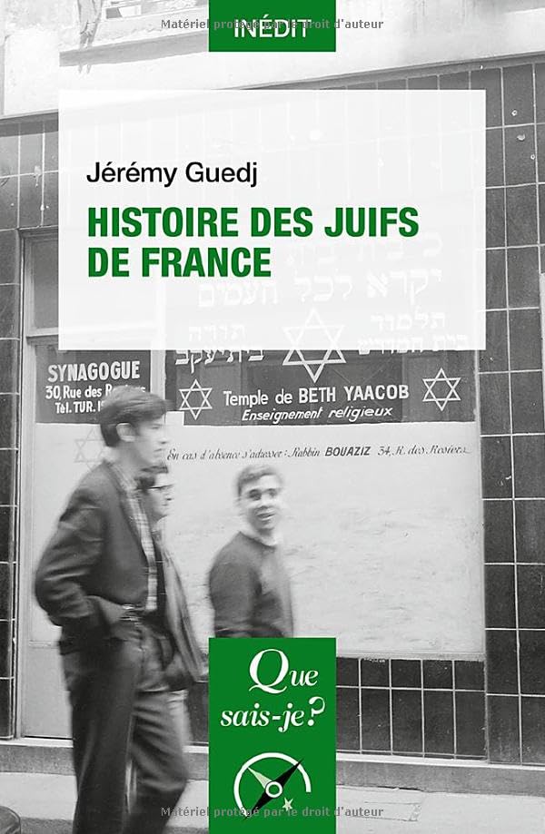 Histoire des Juifs de France (Paperback)