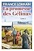 LA PROMESSE DES GELINAS T 0...