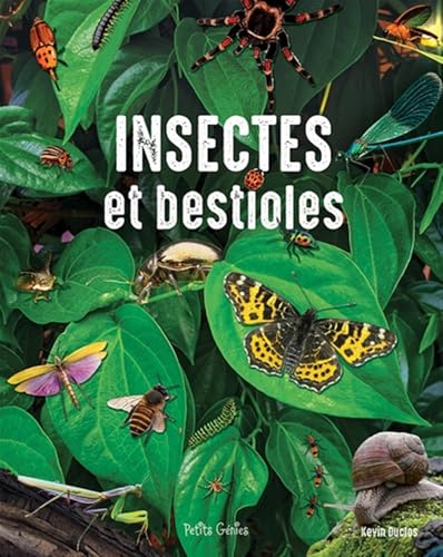 Insectes et bestioles (Hardcover)