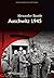 Auschwitz 1945 by Alexandre Bande