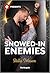 Snowed-In Enemies: A Fake Relationship F1 Contemporary Romance