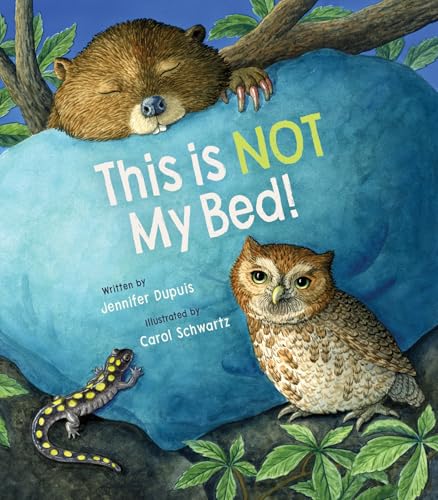 This Is Not My Bed! (Hardcover)