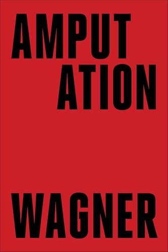 Amputation (Hardcover)